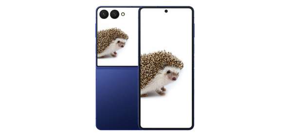 삼성전자 갤럭시 Z 플립7, 256GB, 블루