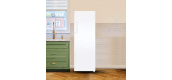 삼성전자 냉동고 227L 삼성물류직배송설치 화이트 RZ22CG4000WW 1