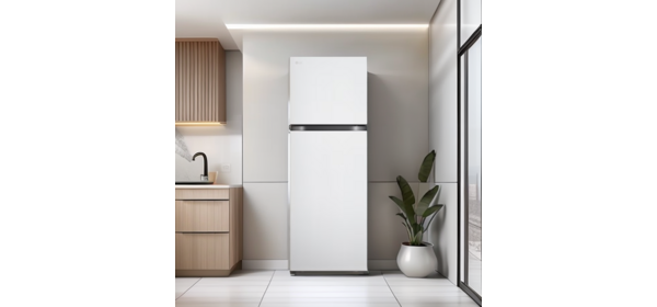 LG전자 일반냉장고 25년 신모델 B245W22 원룸 오피스텔 사무실 모델 호텔 LG물류직배송