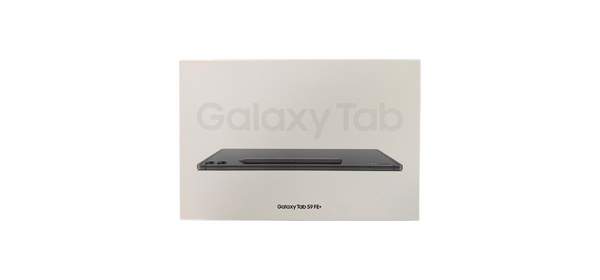 삼성전자 갤럭시탭S9 FE 플러스 128/256GB 태블릿PC, 128GB x 그레이, Wi-Fi, 그레이