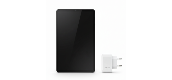 (사업자전용)삼성전자 갤럭시탭 S10 FE 플러스 13.1인치 그레이 고속충전 어댑터 새제품 국내판 정품, 와이파이, 128GB 1