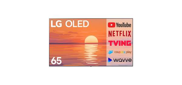 LG전자 올레드 울트라HD UHD 4K OLED TV 65인치 에보 EVO 돌비 애트모스 갤러리형 OLED65G1, 고객직접설치, 스탠드형, 163cm(65인치)