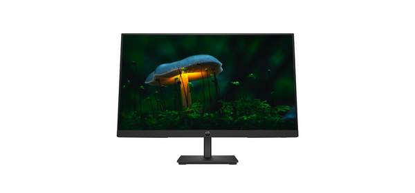 HP 프로 디스플레이 P24v G5 FHD 모니터, 60cm, hp P24v G5 FHD Monitor