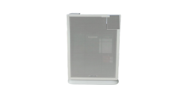 삼성전자 블루스카이 5500 공기청정기 60, AX060CG500GED