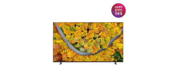 (LG전자) 217cm LED TV UHD(4K) 86UR642S0NC (벽걸이형/비즈니스 TV), 방문설치, 벽걸이형 1