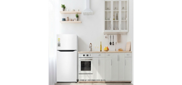 [LG전자] B182W13 일반냉장고 2도어 189L 폐가전수거 물류설치 추가비용없슴