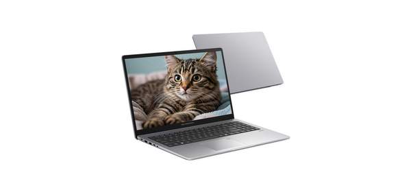 에이수스 2025 익스퍼트북 P1 15.6 라이젠5 라이젠 7000 시리즈, 미스티 그레이, 512GB, 8GB, WIN11 Pro, PM1503CDA-S70069