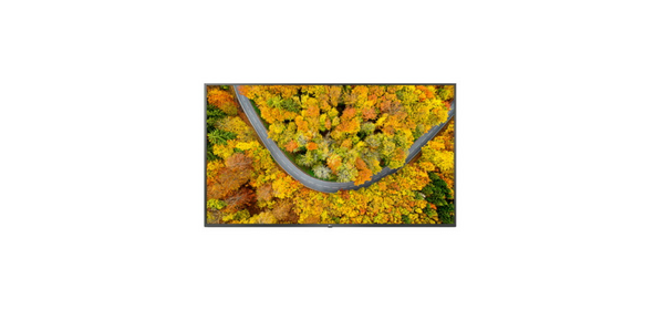 LG전자 4K UHD LED TV, 107cm(43인치), 43UR642S0NC, 벽걸이형, 방문설치