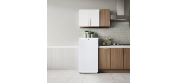 LG전자 소형냉장고 B103W14 B103S14 90L 1도어 원룸 오피스텔 사무실 사업장 LG물류직배송, 화이트