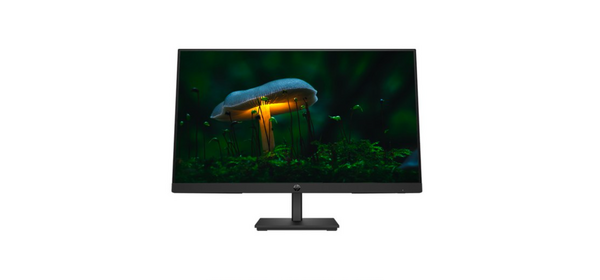 HP 프로 디스플레이 P24v G5 FHD 모니터, 60cm, hp P24v G5 FHD Monitor P24v G5 FHD monitor