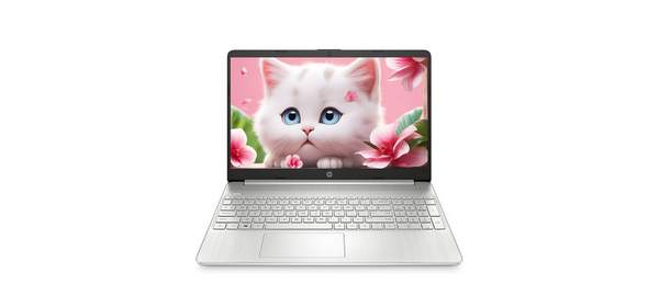 HP 2024 노트북 15 라이젠5 라이젠 5000 시리즈, Natural Sliver, 2TB, 16GB, WIN11 Home, 15S-EQ2260AU 1