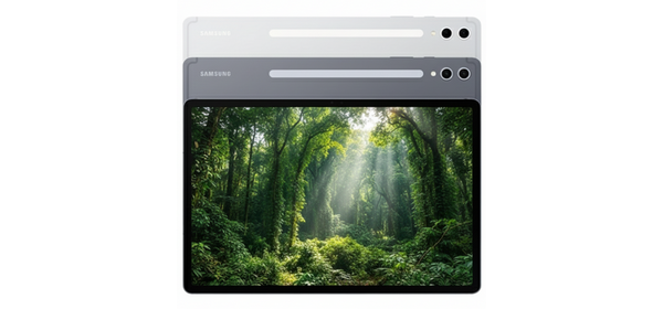 삼성전자 갤럭시탭 S10 울트라 256GB/512GB/1TB, 문스톤 그레이, 256GB, Wi-Fi+Cellular