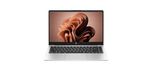 HP 2025 프로북 255R G10 15 AMD 라이젠R5 7535U 시리즈, 255R G10 BY9U2AT, WIN11 Home, 8GB, 512GB, 실버 1