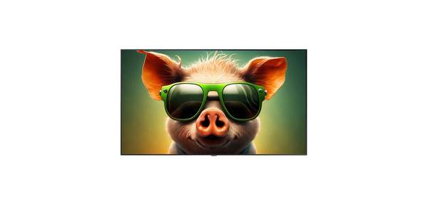 삼성 60인치/ 65인치 4K UHD 스마트 TV OTT 핫딜, 방문설치, 스탠드형, 삼성 UHD 스마트 4K, 삼성60인치 1