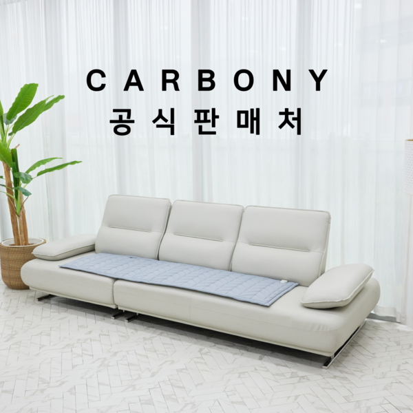 전자파없는카본매트 추천 1등 제품