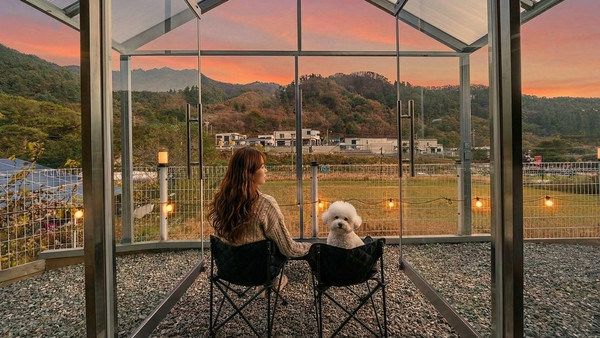추천4 애견동반글램핑