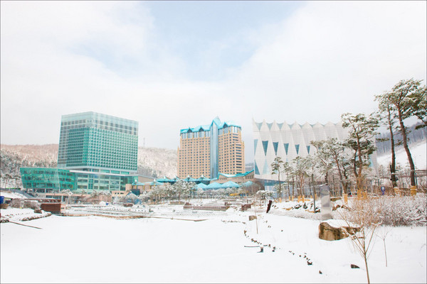추천10 강원랜드호텔