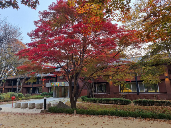 추천9 남이섬숙소