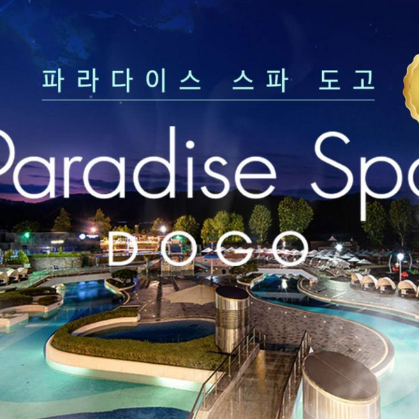 도고파라다이스 추천 1등 제품