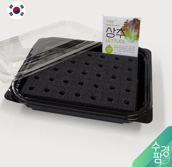 수경재배키트 추천 2026년 최고 인기 모델 탑5! 총정리 가이드