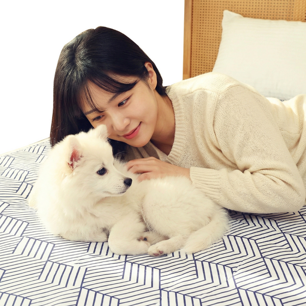 일월 전기장판 2인용 추천 1등 제품