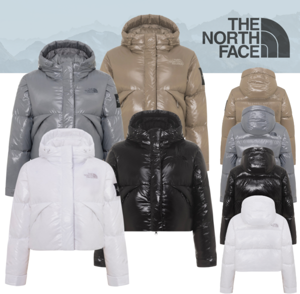 추천6 노스페이스 프로젝트 다운