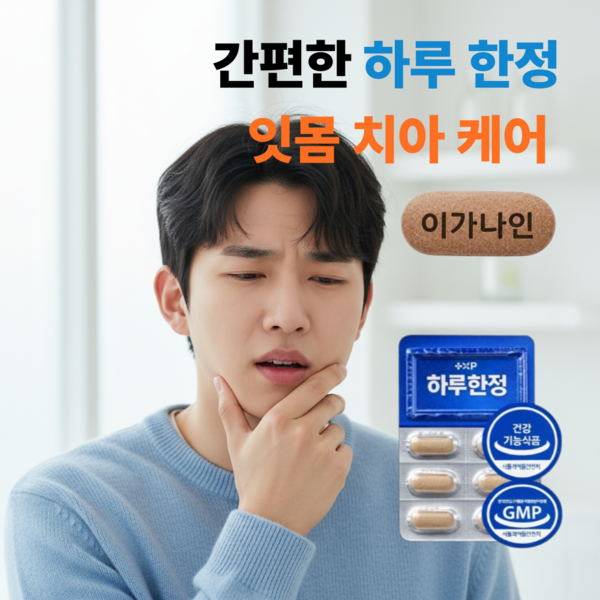 추천6 도미인인사동