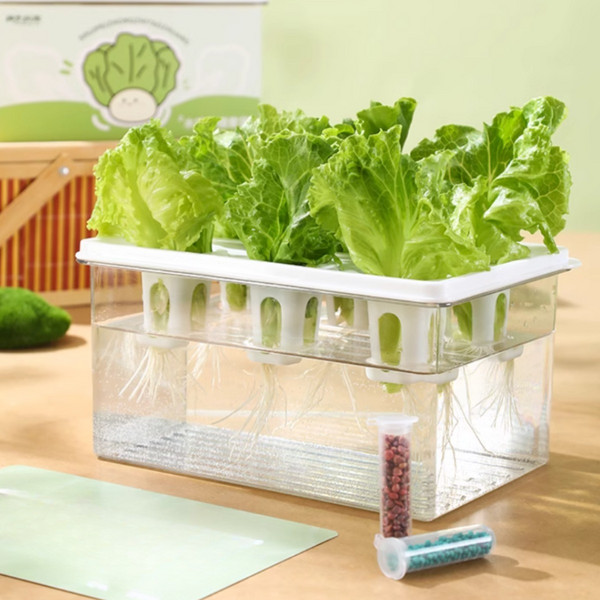 수경재배키트 추천 2026년 최고 인기 모델 탑5! 총정리 가이드