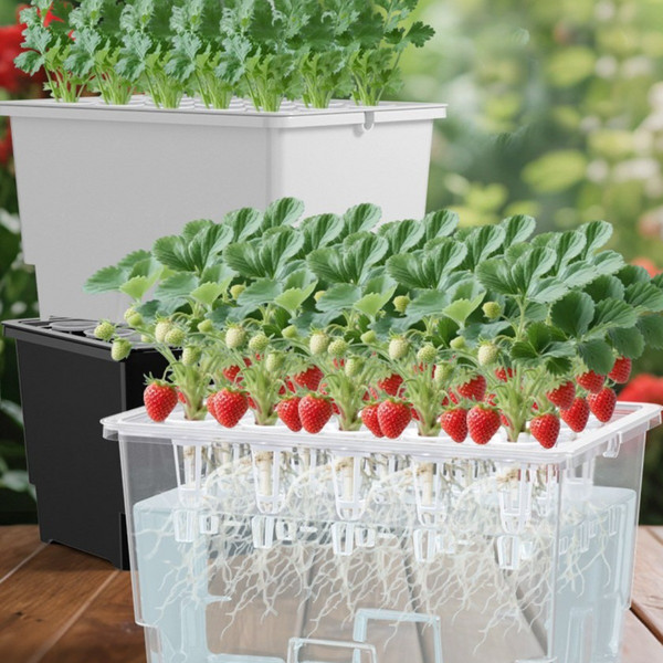 수경재배키트 추천 2026년 최고 인기 모델 탑5! 총정리 가이드