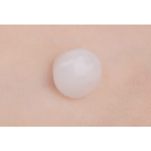 시드물 마다가스카르 피지 수분크림 이미지 3