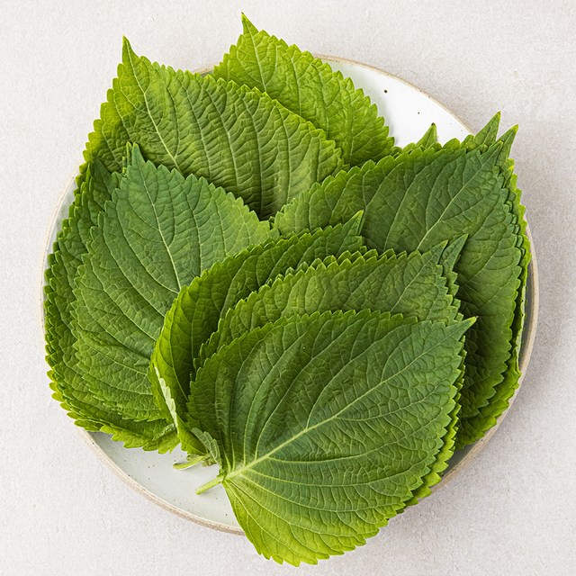 집에서 키운 것처럼 신선한 국내산 깻잎 60g 보관법과 활용 팁