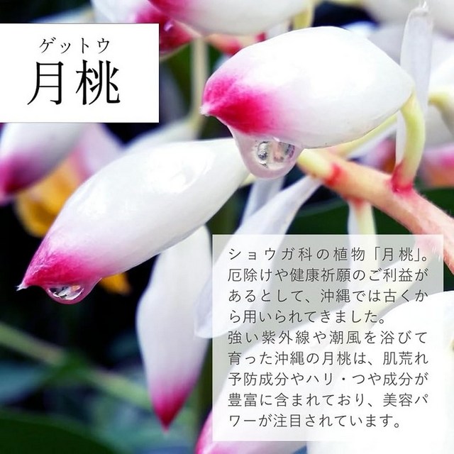 루하쿠(RUHAKU) 월도 나이트 리페어 오일 S 17ml 이미지 2