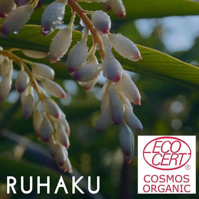 루하쿠(RUHAKU) 월도 나이트 리페어 오일 S 17ml 이미지 3