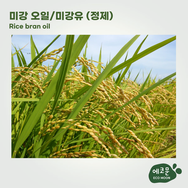 미강 오일 500ml 미강유 천연 화장품 비누 만들기 베이스오일 이미지 2