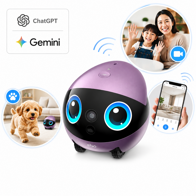 에나봇 EBO AIR 2 PLUS AI 로봇 귀여운 집지킴이 홈캠 제미나이ChatGPT로 대화 펫 모니터링 원격 CCTV 반려견 펫캠