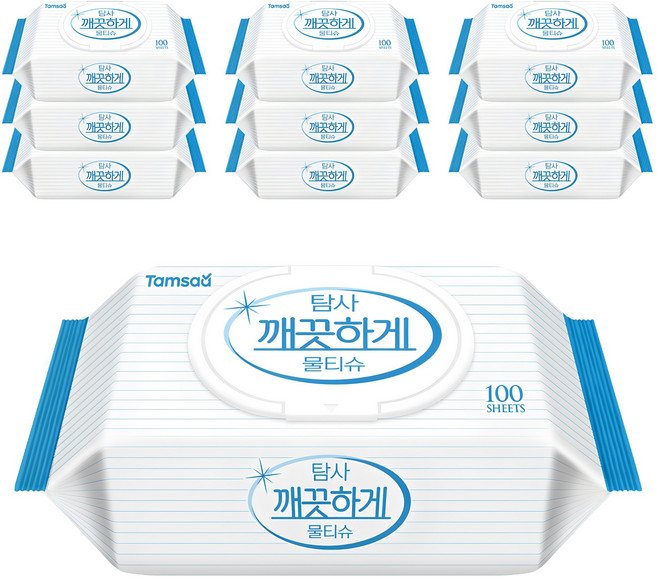 탐사 깨끗하게 도톰한 물티슈 캡형, 100개입, 10개