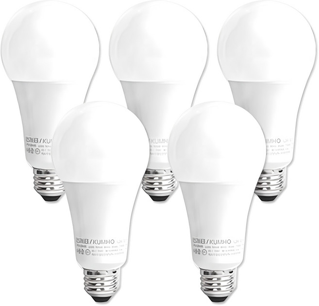 번개표 컨버터 내장형 LED 램프 12W, 주광색, 5개