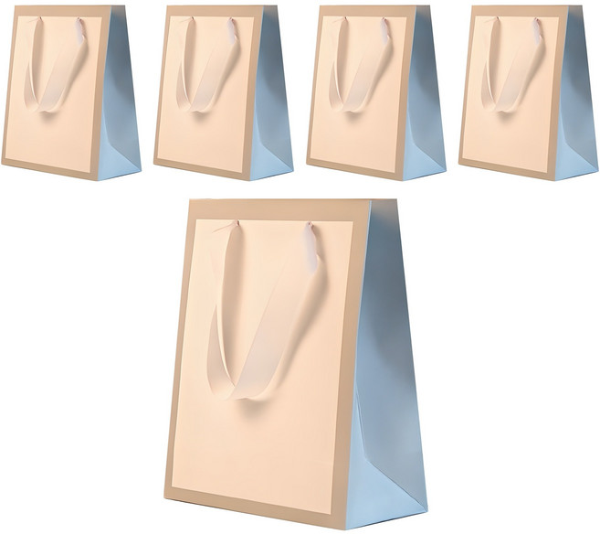 더깔끔 컬러 종이쇼핑백 5p, 그레이, 5개