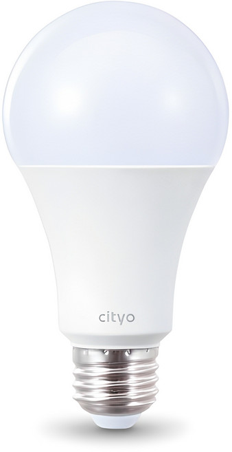 씨티오 LED 화이트 전구 20W, 전구색, 1개