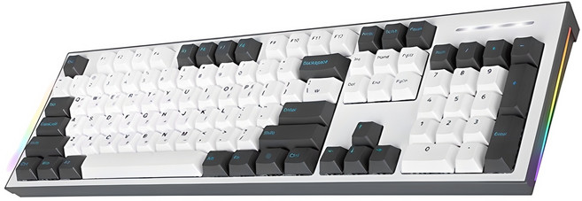 COX 이색사출 사이드 RGB 기계식 유선 일반형 키보드, 그레이 + 화이트, CK01PBT, 적축