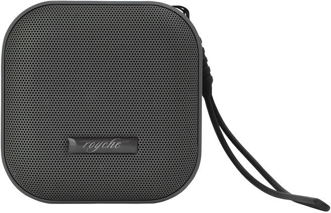 로이체 휴대용 충전식 블루투스 스피커, BTS-150, 다크그레이