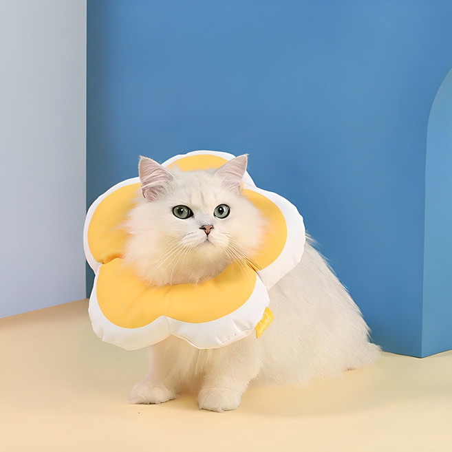 힐링타임 키티요요 반려동물 넥카라 옐로우 M NH-3205, 힐링타임 NH-3205 키티요요 넥카라 옐로우 M, 1개