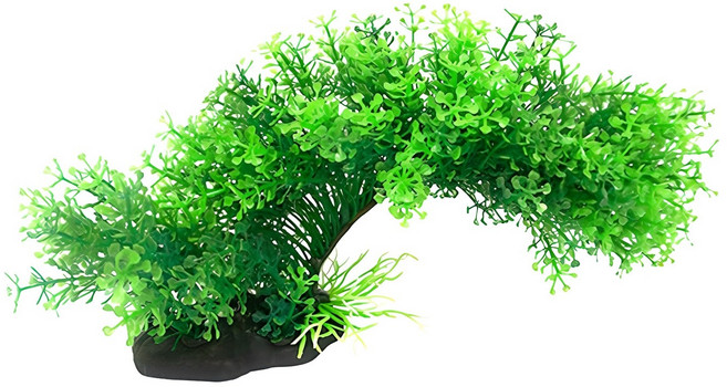 인조 수초 21020, 1개