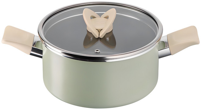 테팔 인덕션 티타늄 블라썸 양수냄비, 20cm, 민트, 1개