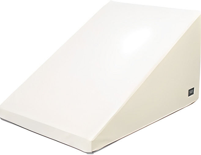 초코펫하우스 강아지 야광 논슬립 스텝 2.0, 베이지, 1개