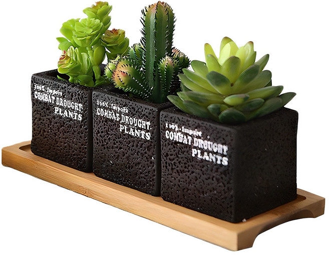 Happy Village 仙人掌盆栽3個 + 木質底座, 1個, 單一顏色