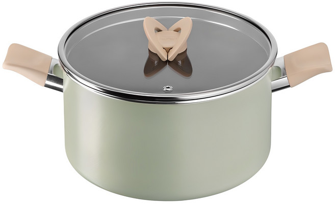 테팔 인덕션 티타늄 블라썸 양수냄비, 24cm, 민트, 1개