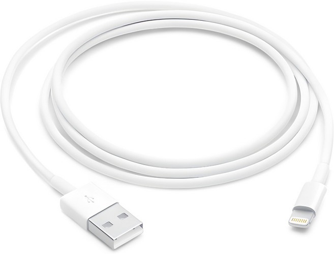 Apple 라이트닝 USB 케이블, 100cm, 1개