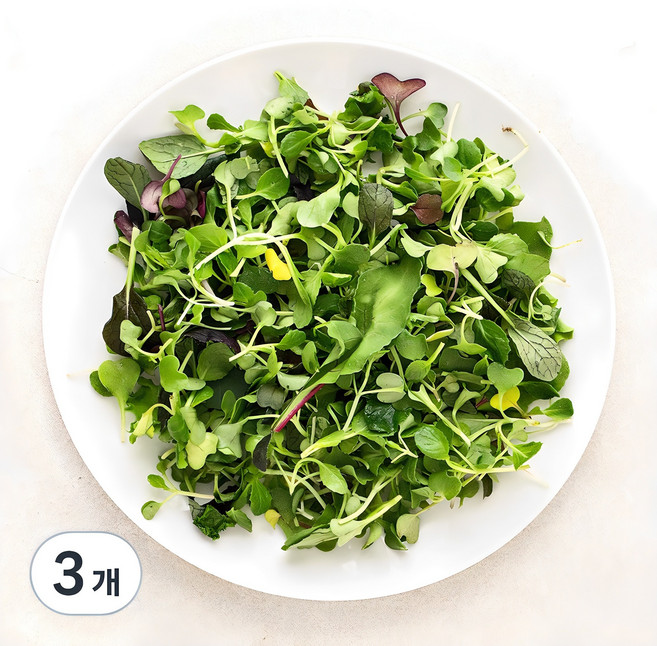 베이비채소, 50g, 3개