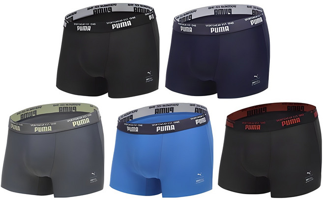 푸마바디웨어 빅사이즈 포함 남성용 라이트컷 드로즈 팬티 5종 세트